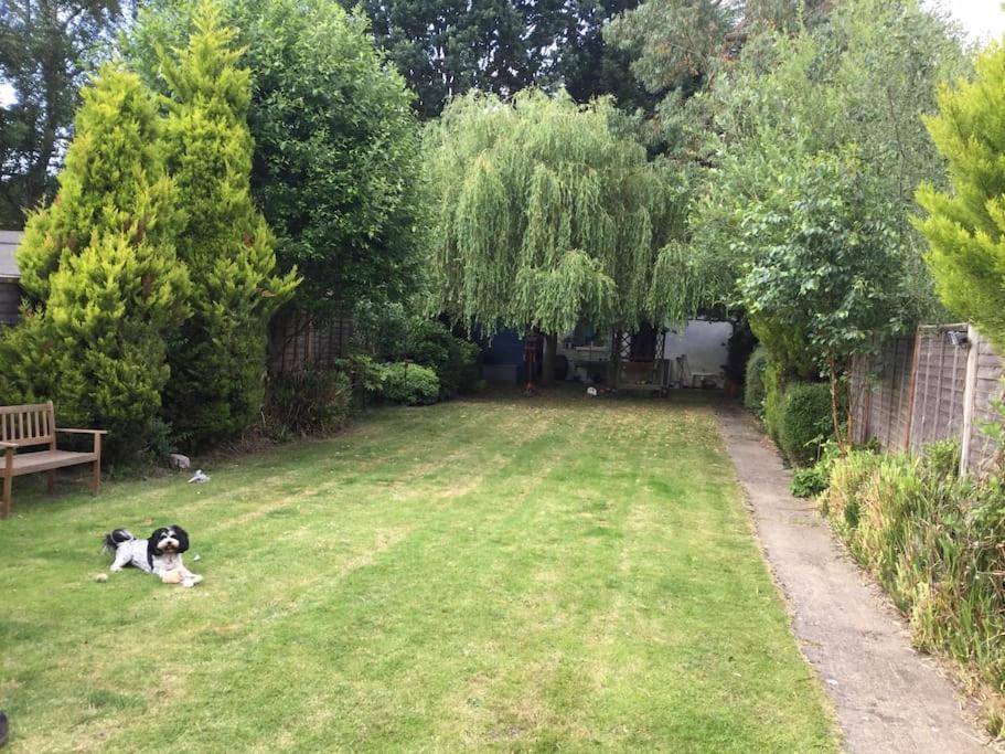 The Studio, Ascot Winkfield Εξωτερικό φωτογραφία